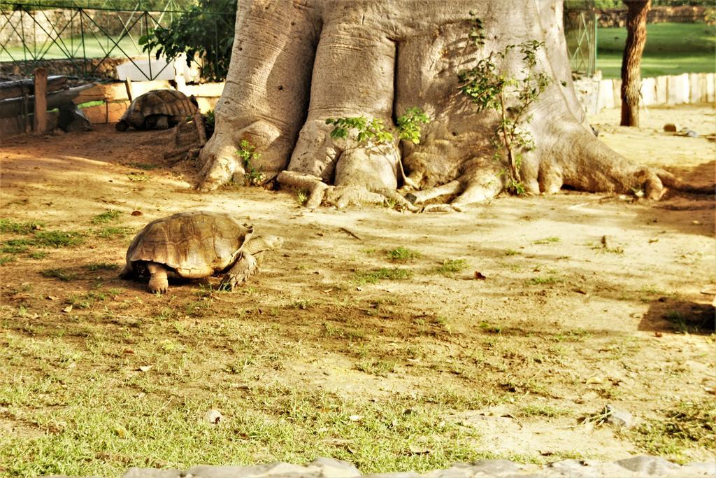 Africa 6 Plage Somone Kültér fotó